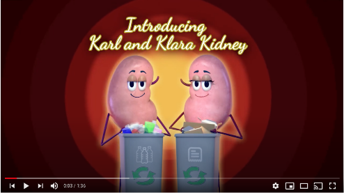 close up image of 'The connection between type 2 diabetes and kidney disease' Harold Heart video